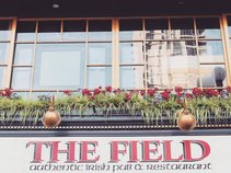 The Field Irish Pub