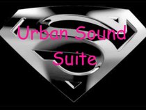 UrbanSoundSuite