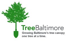 Tree Baltimore