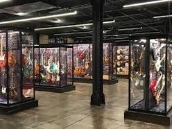 Songbirds Guitar Museum