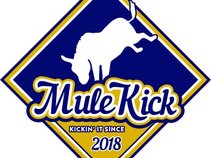 Mule Kick