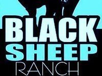 The blacksheep Ranch