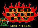 Red Eyed Fly