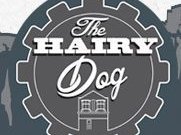 The Hairy Dog