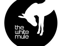 The White Mule