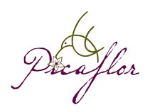 Picaflor Studio