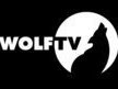 Wolf TV