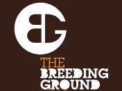 The Breeding Ground NYC - Recording Lounge