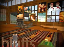 Bluffs Center for the Arts - on Second Life