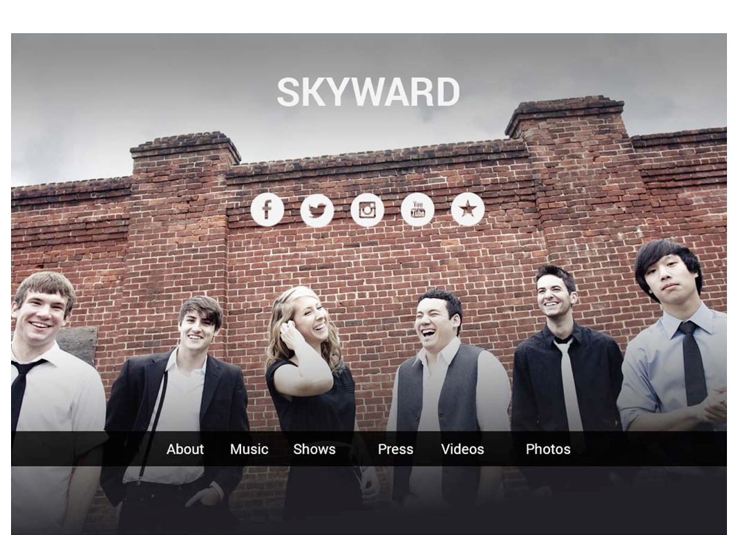Sample of musician website on desktop browser.